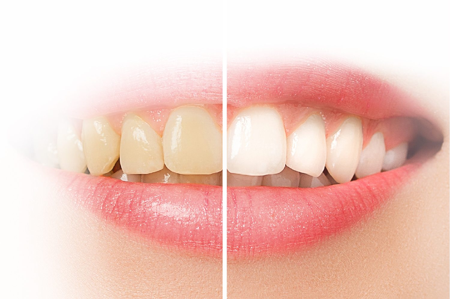 Dental Arts Studio